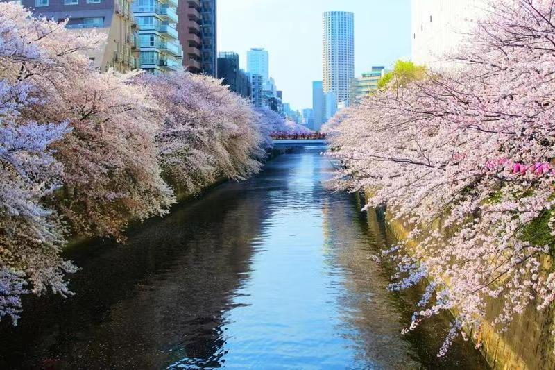 Apartamento Meguro House Close To Meguro River Tóquio