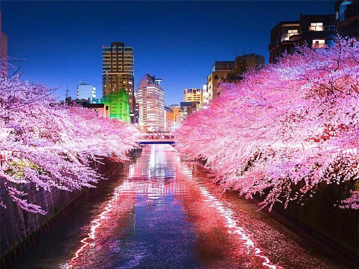 Meguro House Close To Meguro River Apartamento